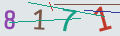verifycode
